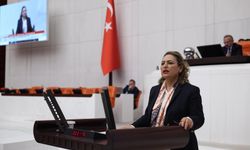 Şevkin'den Meclis'te Kızılay çıkışı: “Vatandaş çadır beklerken Kızılay çadır sattı”