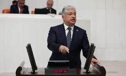 Sadullah Kısacık'tan fon krizi açıklaması: Güçlü görev gücü kurulmalı