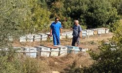 Sarıçam’da arıcılık faaliyetleri sahada inceleniyor