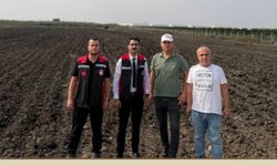 Seyhan’da meralar yeniden üretime kazandırılıyor