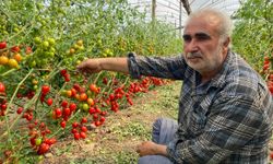 "Domates bizden 15 TL'ye alınıyor marketlerde 70 TL'ye satılıyor. Aradaki farkı kim yiyor"