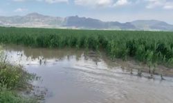 Adana’da sağanak ve dolu, tarım arazilerine büyük zarar verdi