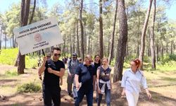 Antalya'da 1. Hemşirelik ve İnovasyon Yönetimi Kongresi düzenlendi