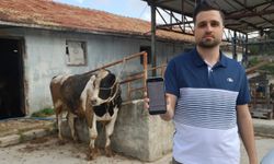 Kurbanlık danaları almak isterken 200 bin TL dolandırıldı