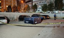 Önce sevgilisini öldürdü, ardından intihar etti
