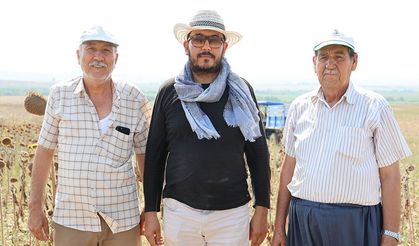 Adana’da kuraklık ayçiçeği tarlalarını kuruttu: Verim yarının altına düştü