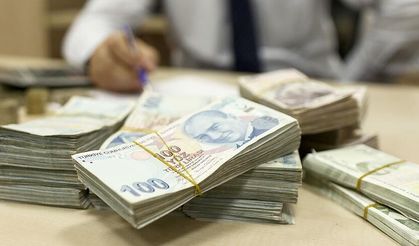 Bakan açıkladı: 250 bin TL faizsiz kredi verilecek!