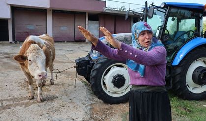 Kozan’da besici kadın isyan etti: “Sel ahırı aştı, kurtaramadım”