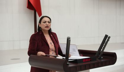 Şevkin’den Demirçalı kararı için sert tepki