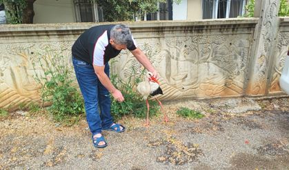Adana’da cami avlusunda bulunan yaralı leylek kurtarıldı