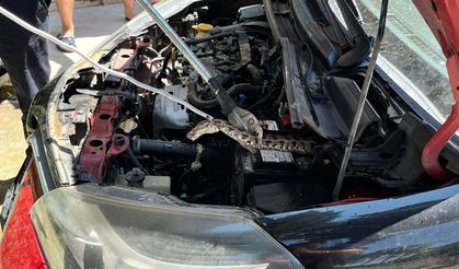Adana’da otomobilin motor bölümüne giren yılan itfaiye ekiplerince çıkarıldı