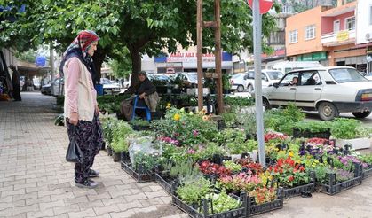 Kozan’da yayla sezonu öncesi fide satışları hareketlendi