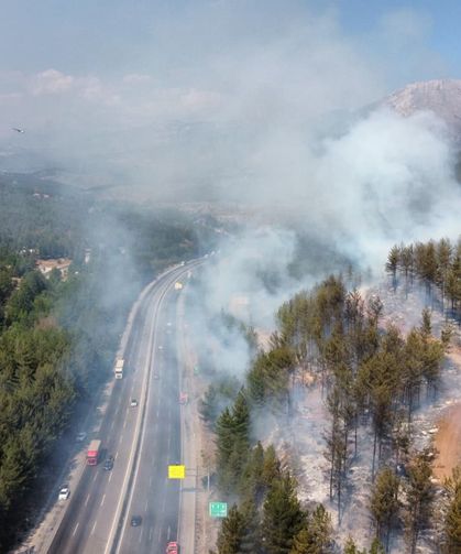 Adana’da Araç Yangını Ormana Sıçradı: Alevler Söndürüldü