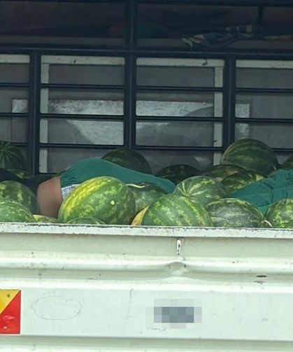 Adana sıcağına karpuzlu çözüm! İşçi kamyonette böyle uyudu