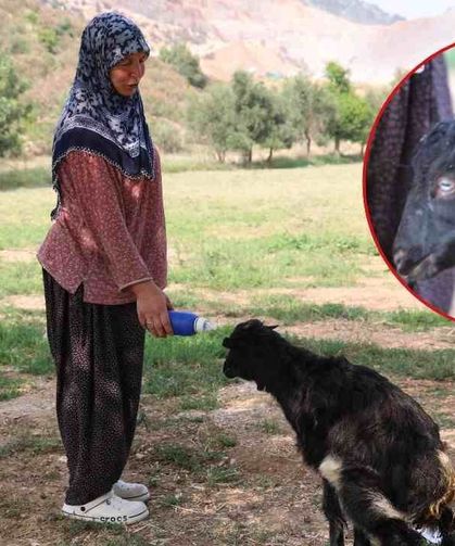 Adana’da sevgi engel tanımadı: Görme engelli oğlağı evladı gibi büyüttü