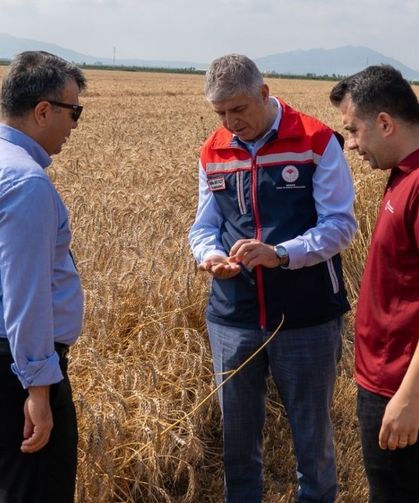 İl Müdürü Bayazıt hasat alanında çiftçilerle buluştu