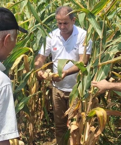 Kozan'da sürdürülebilir tarım için yoğun mesai