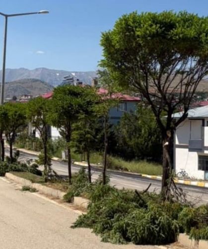 Tufanbeyli'nde ağaç budama çalışmaları tamamlandı
