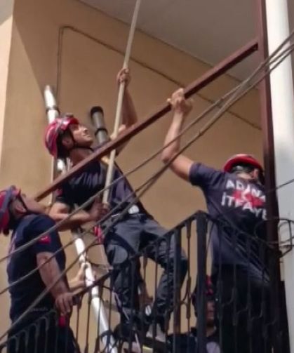 Adana’da güvercinin imdadına itfaiye ekipleri yetişti