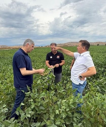 Kozan'da aniden bastırdı, tarlalar vuruldu: İl Tarım Müdürü sahaya indi!