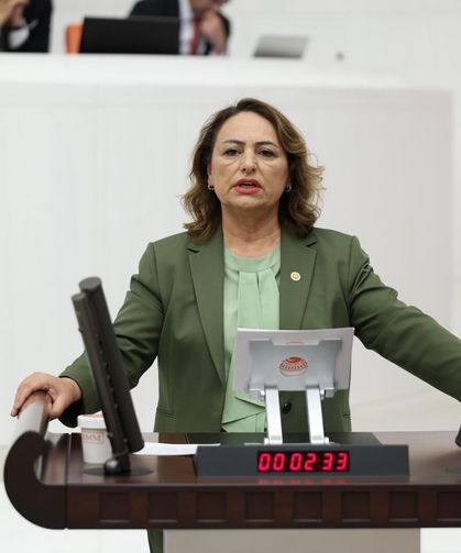 Müzeyyen Şevkin çiftçinin sorunlarını Meclis’e taşıdı: 5 önerge, 41 soru