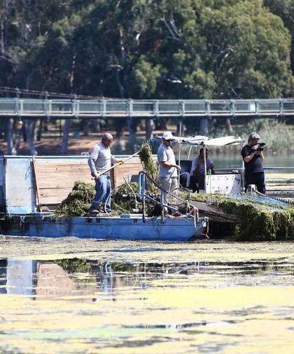 Adana’da baraj gölünden her gün 2-3 ton atık çıkarılıyor