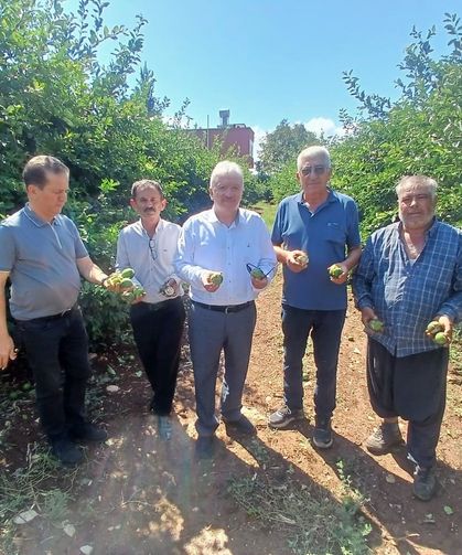 Adana’da dolu 35 bin dönüm tarım alanını vurdu