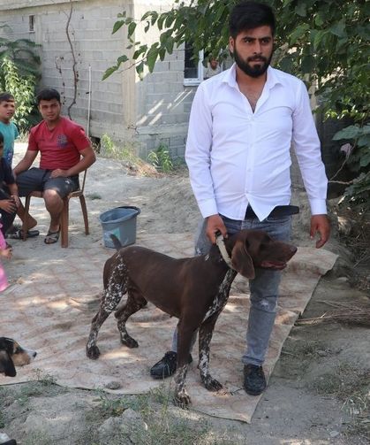 Adana’da köpeğe sopayla şiddet anbean güvenlik kamerasında