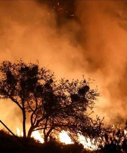 Adana’da orman yangını riski yükseldi: Vatandaşlara 4 kritik uyarı