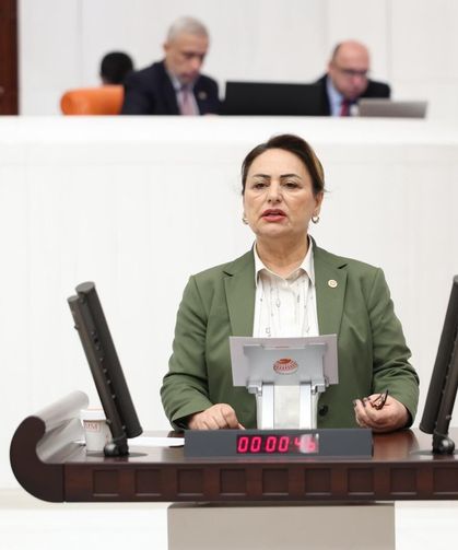 Şevkin’den engelli bakım desteği için TBMM’ye iki önerge