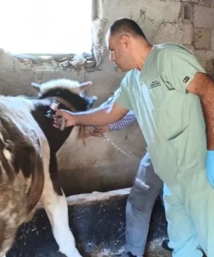 Kozan’da aşılama ve sağlık taramaları sürüyor