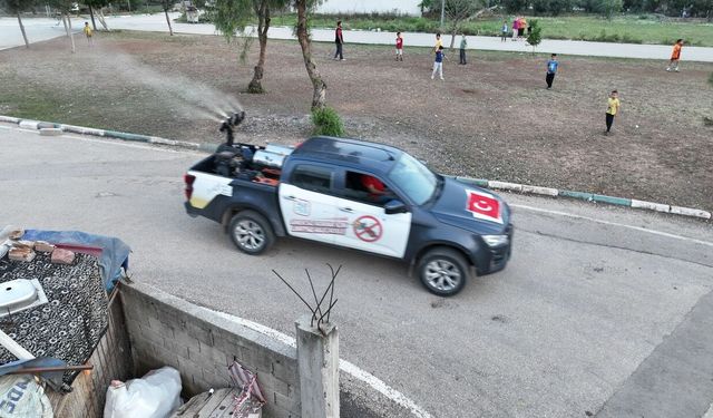 Adana’da haşere alarmı: Belediye 24 saat sahada!