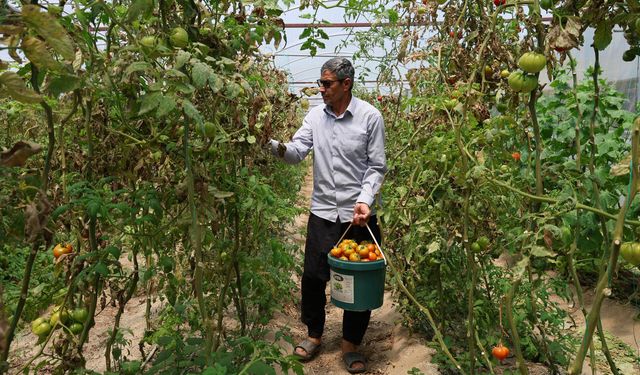Aracıya kafa tutan çiftçinin kazancı direkt cebimde