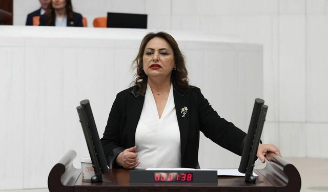 Dr. Şevkin uyardı: "Çevre felaketleri derinleşiyor, ÇED raporları formaliteye dönüşüyor”