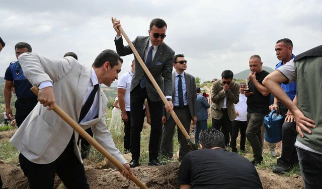 Hakimler,savcılar ve hükümlüler ormanları yeşertmek için kolları sıvadı
