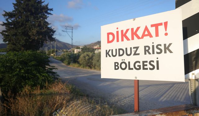 Hatay'da kuduz alarmı: 4 mahalle karantinaya alındı