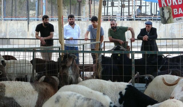 Mersin’de kurbanlık pazarı hareketlendi