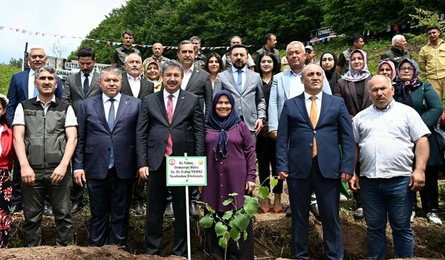 Osmaniye'de koruyucu aileler için 250 fidan toprakla buluştu