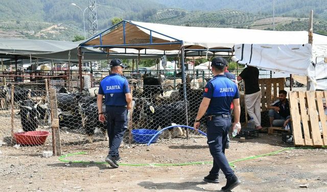 Osmaniye’de kurbanlık pazarlarında sıkı denetim