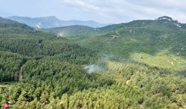 Osmaniye’de ormanlara girişler 5 ay boyunca yasaklandı