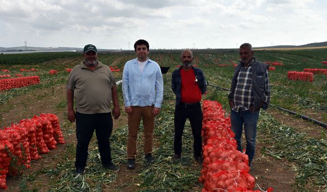 Yapay zeka ile narenciyeye yeni nesil dokunuş