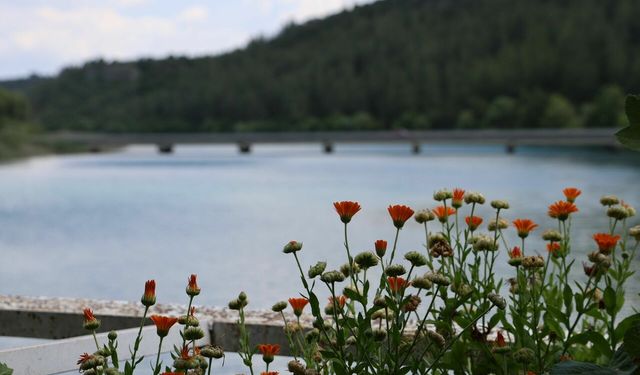 Yaz sıcağından kaçanların yeni rotası: Aladağ