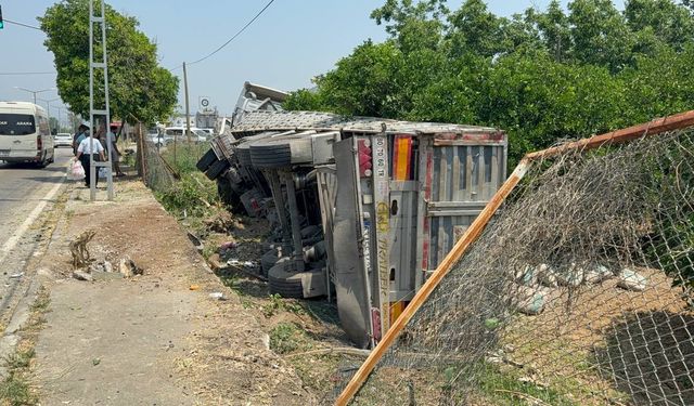 Adana'da zincirleme kaza: Tır narenciye bahçesine devrildi, sürücü araçta sıkıştı