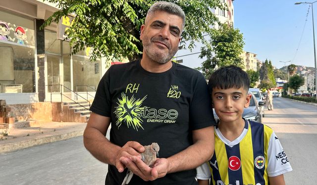 Antakya’da bir vatandaş yavru kumruya umut oldu