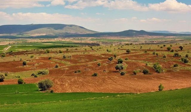 Adana'da toprak sahibi olma şansı: 458m arsa için sadece bu fiyat istendi