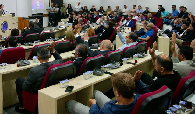 Ceyhan ve Seyhan'da Başkan Vekili seçim tarihi belli oldu