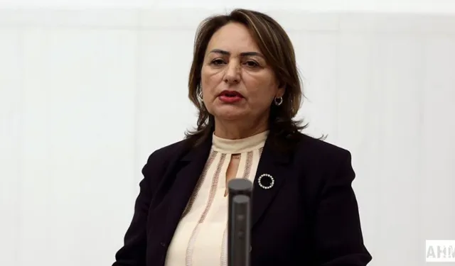 CHP’li Şevkin: Bu tutuklamalar hukuksuz