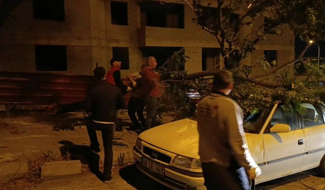 Fırtınada ağaç otomobilin üzerine devrildi