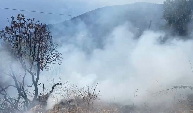 Gazipaşa’da meyve bahçesinde çıkan yangın hızla söndürüldü