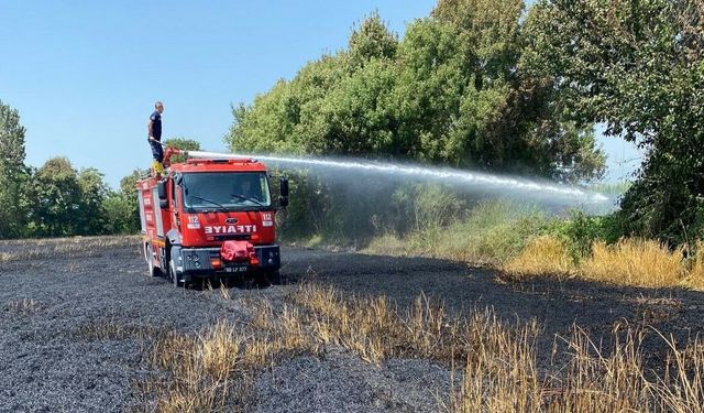 Kadirli’de buğday tarlasında yangın: 20 dönüm zarar gördü